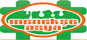 Menekşe Asya Logo